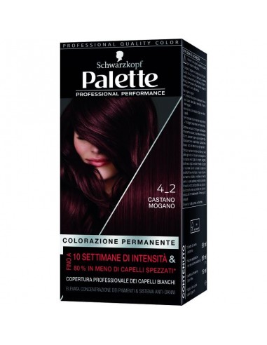 TINTA PALETTE COLORANTE4-2CAST.MOGAN